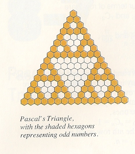 Pascal Triangle Diagram from HS textbook