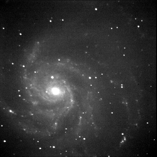 M101.jpg (196314 bytes)