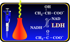 Biochemistry Laboratory Logo