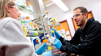 Two students work together in a biology laboratory. 