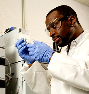 Male student wearing latex gloves examines specimen.