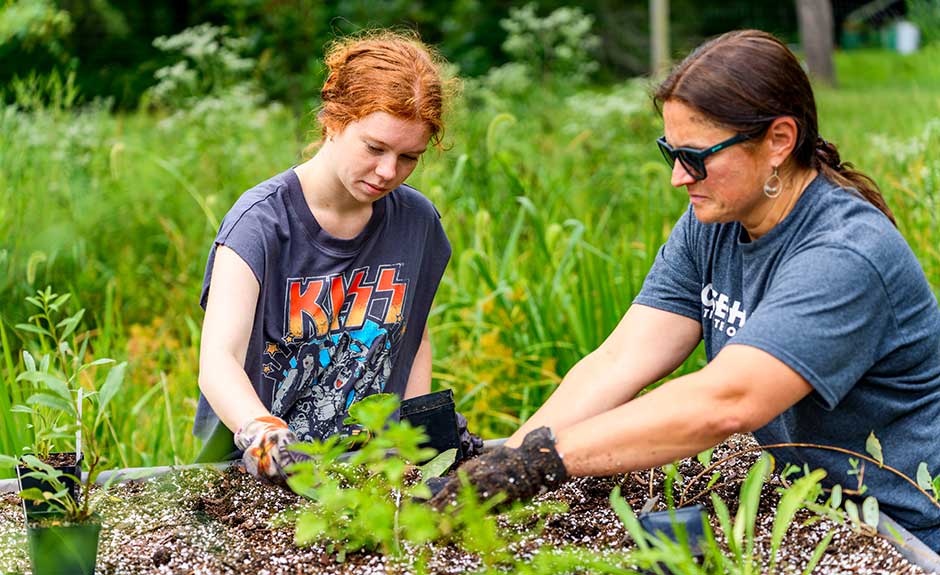 Faculty and staff planting starts