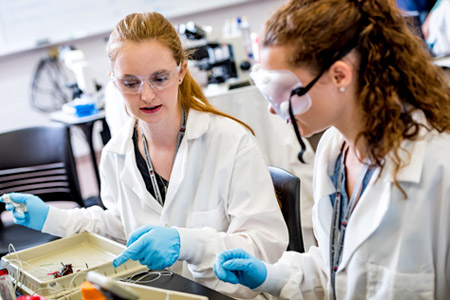 Two female students working together on a project while wearing goggles and blue latex gloves in a Rose-Hulman laboratory.