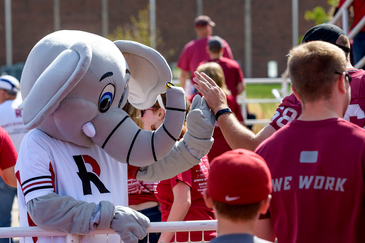 Rosie the Elephant interacting with fans