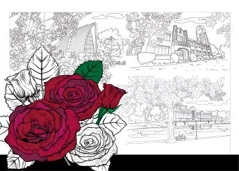 !Coloring book with a red rose on the cover.