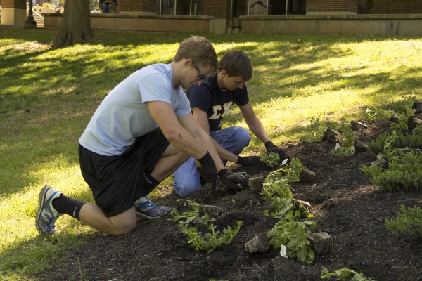 Planting