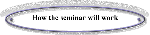  How the seminar will work 