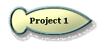  Project 1 