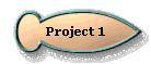  Project 1 