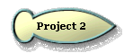 Project 2 