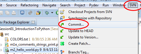 SVN ~ Commit