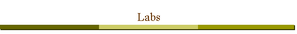 Labs