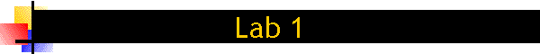 Lab 1