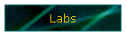 Labs