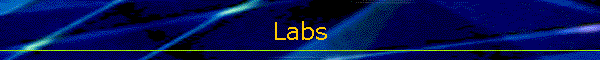 Labs