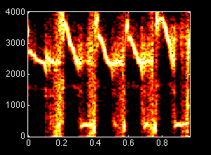 ../chapters/03spect/overview.gif