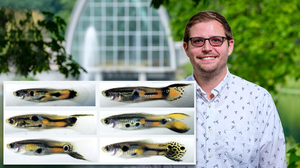 Photo of Dr. Williamson with images of guppies.