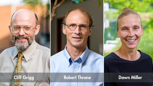 Headshots of Professors Cliff Grigg (left) and Robert Throne (middle) and Dawn Miller (right) 