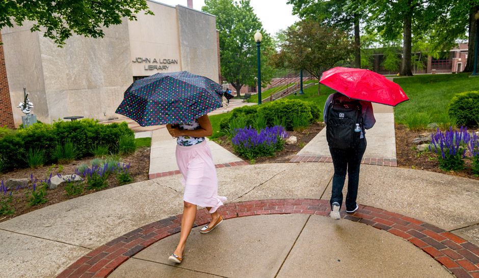 A male and female student walking through the Root Quadrangle. Each are carrying umbrellas. 