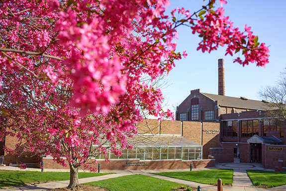 The Quad