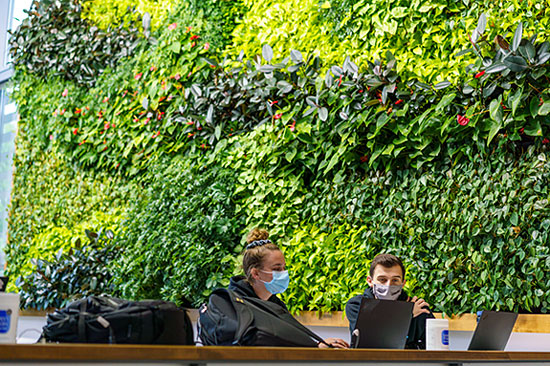 The Living Wall in the Mussallem Union