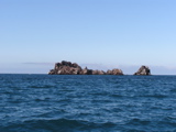 P6090002_2