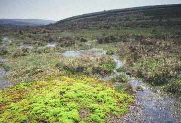 Blackslade Mire by Peter Wakely