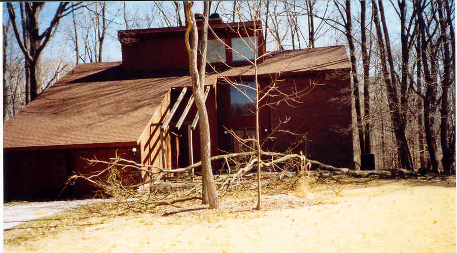 [Tree blown down March 9, 2002]